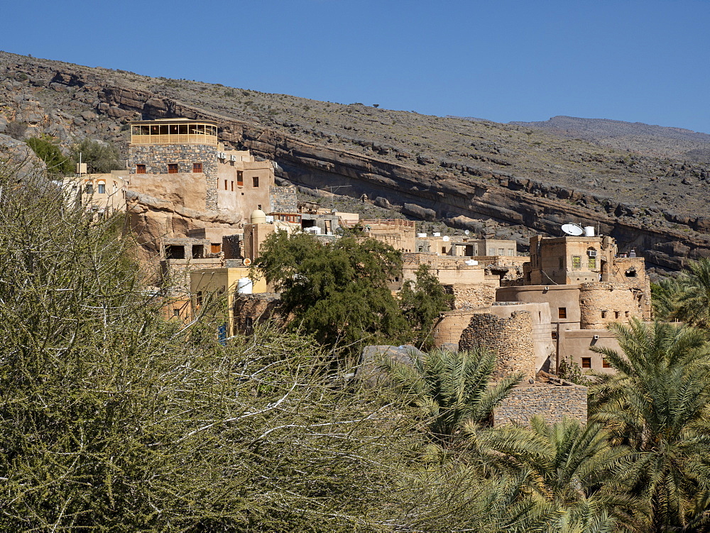 Date palms surround the old village of Al Misfah, Sultanate of Oman, Middle East