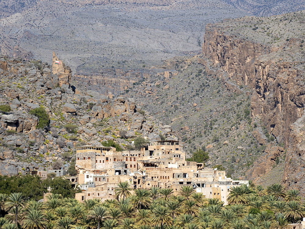 Date palms surround the old village of Al Misfah, Sultanate of Oman, Middle East