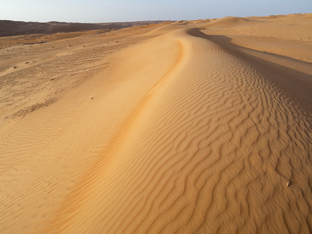 Sand dunes in the Ramlat Al Wahiba Desert, known locally as the Empty Quarter, Sultanate of Oman, Middle East