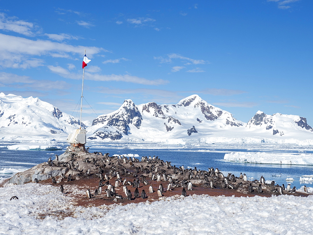 Gonzalez Videla Base, a Chilean Research Station in Paradise Bay, Antarctica, Polar Regions