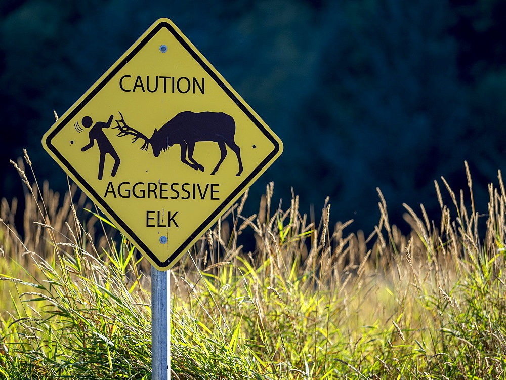 Caution sign on the Lady Bird Johnson Trail in Redwood National Park, UNESCO World Heritage Site, California, United States of America, North America