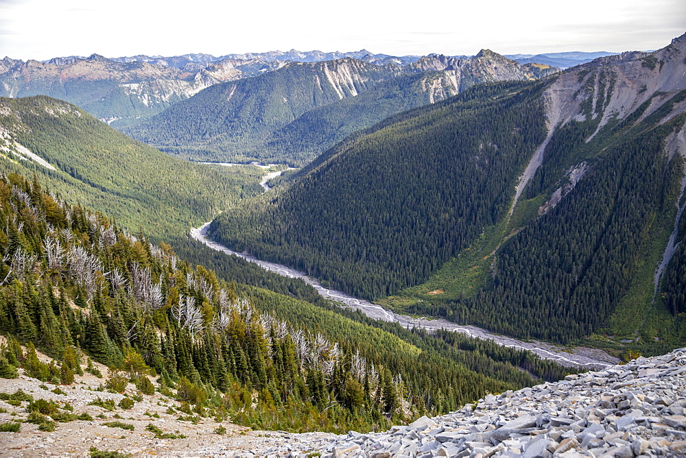 Meltwater river on Mount Rainier from the Burroughs Mountain Trail, Mount Rainier National Park, Washington State, United States of America, North America