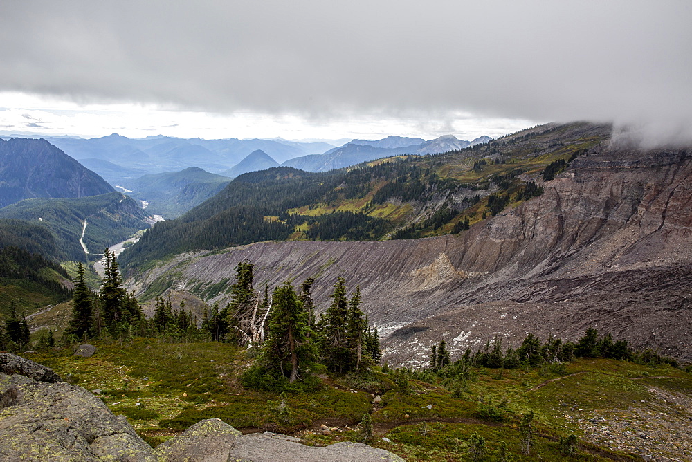 View of the Deadhorse Creek Trail, Mount Rainier National Park, Washington State, United States of America, North America