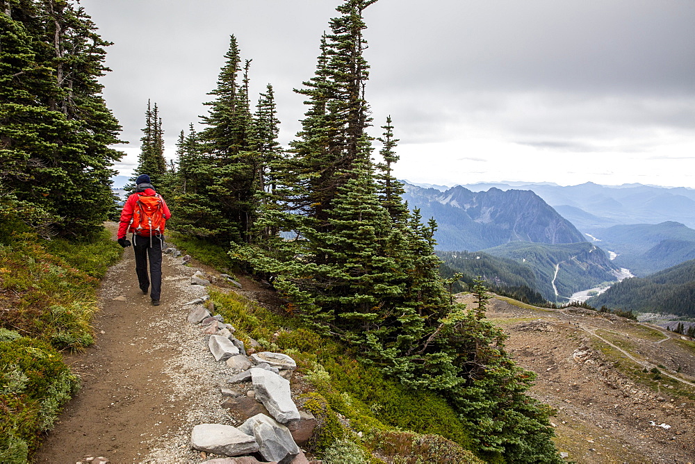 Views from the Skyline Trail of Mount Rainier National Park, Washington State, United States of America, North America