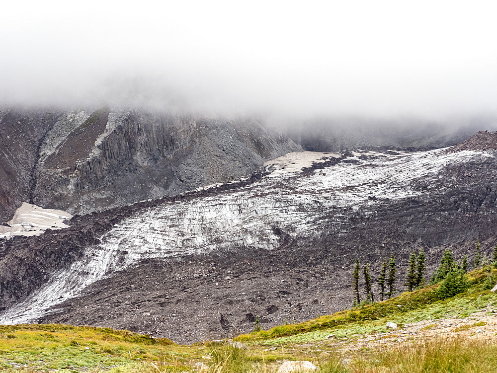 Views of the Nisqually Glacier from the Skyline Trail, Mount Rainier National Park, Washington State, United States of America, North America