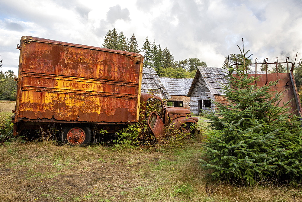 Old Chevrolet truck at the Kestner Homestead, Quinault Rain Forest, Olympic National Park, UNESCO World Heritage Site, Washington State, United States of America, North America