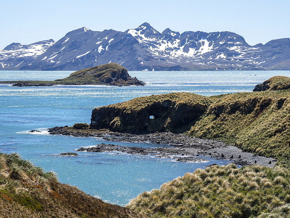 Snow-covered mountains and tussock-covered hills in Maiviken, South Georgia, Polar Regions