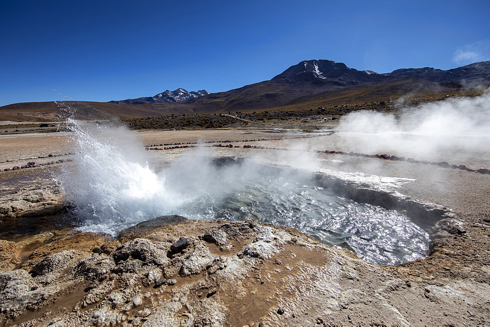 Geysers del Tatio (El Tatio), the third largest geyser field in the world, Andean Central Volcanic Zone, Antofagasta Region, Chile, South America