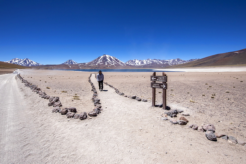 Tourist on the path to Laguna Miscanti, a brackish lake at an altitude of 4140 meters, Central Volcanic Zone, Chile, South America