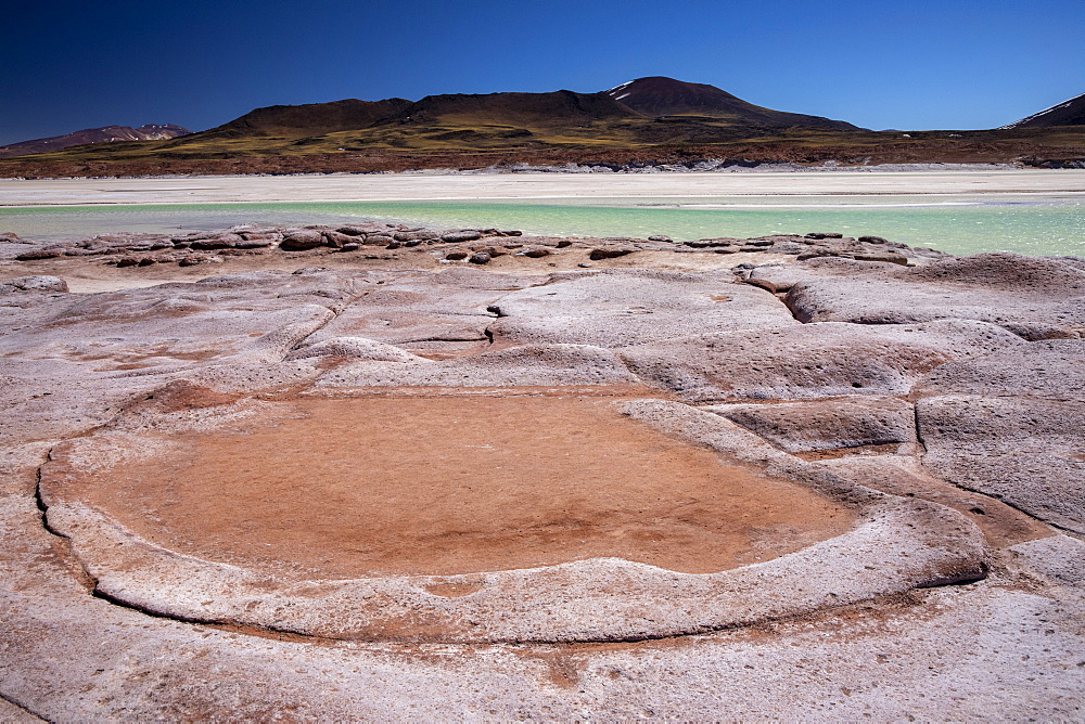 Salar de Aguas Calientes, Los Flamencos National Reserve, Antofagasta Region, Chile, South America