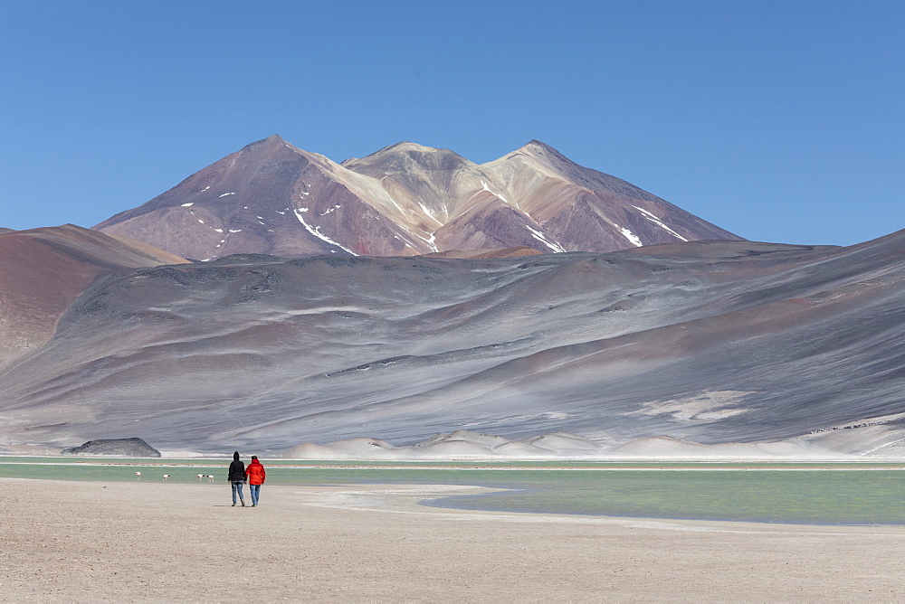 Couple walking in Salar de Aguas Calientes, Los Flamencos National Reserve, Antofagasta Region, Chile, South America