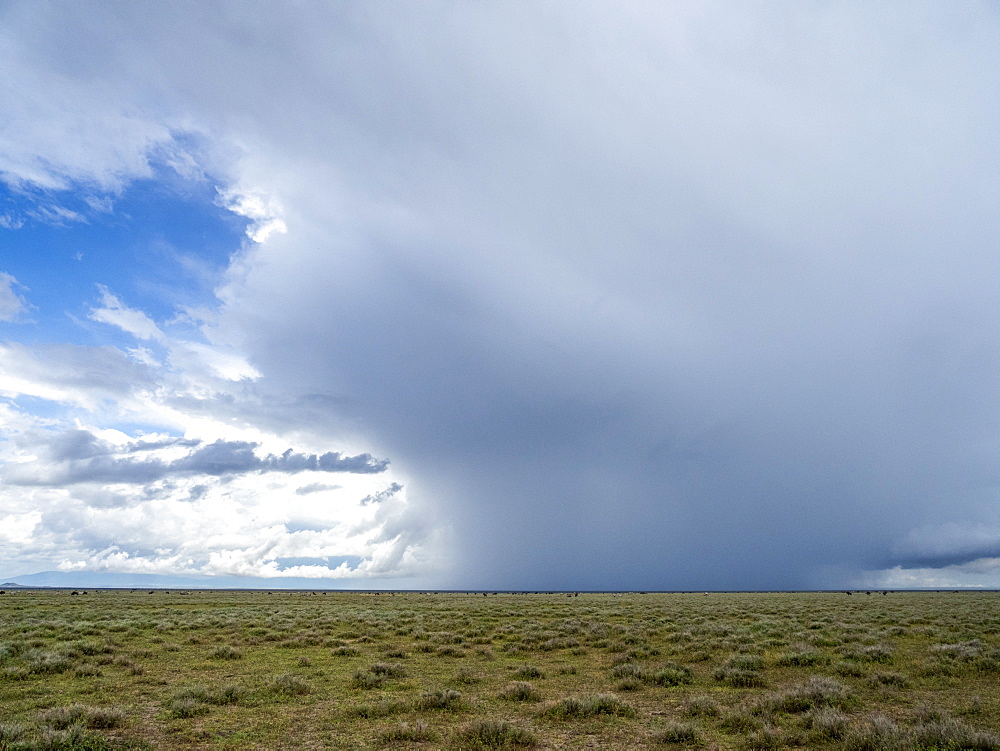 Rain falling on the Serengeti Plains, Serengeti National Park, UNESCO World Heritage Site, Tanzania, East Africa, Africa