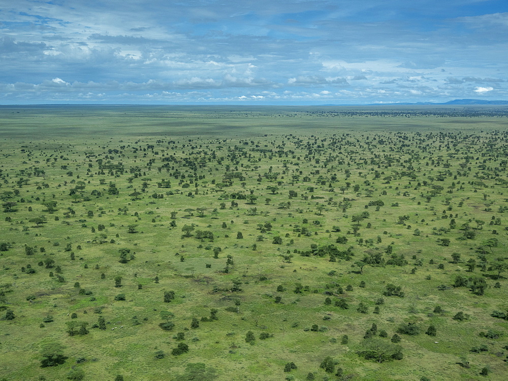 Aerial view of the Serengeti Plains, Serengeti National Park, UNESCO World Heritage Site, Tanzania, East Africa, Africa