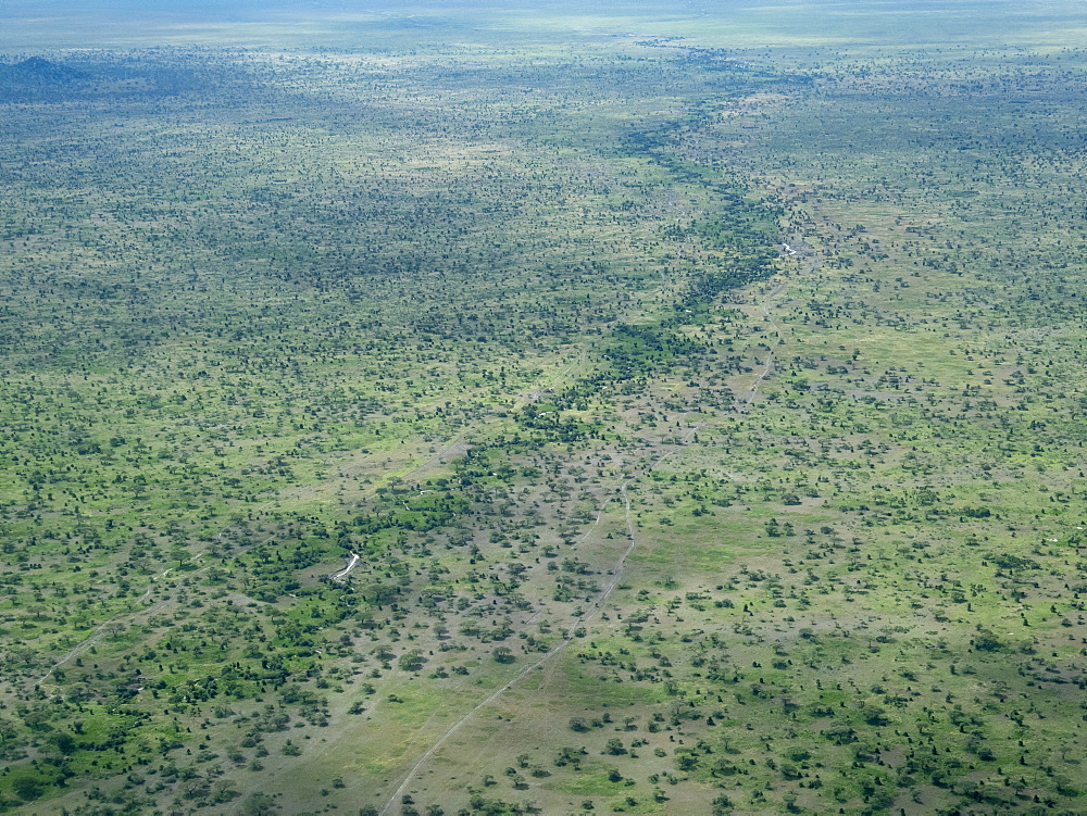 Aerial view of water course on the Serengeti Plains, Serengeti National Park, UNESCO World Heritage Site, Tanzania, East Africa, Africa