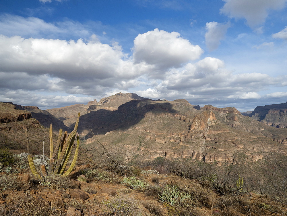 Sierra de San Francisco in the El Vizcaino Biosphere Reserve, Baja California Sur, Mexico, North America