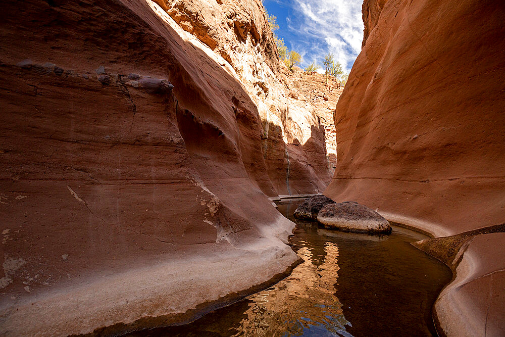 Fresh water in a slot canyon at Mesquite Canyon, Sierra de la Giganta, Baja California Sur, Mexico, North America