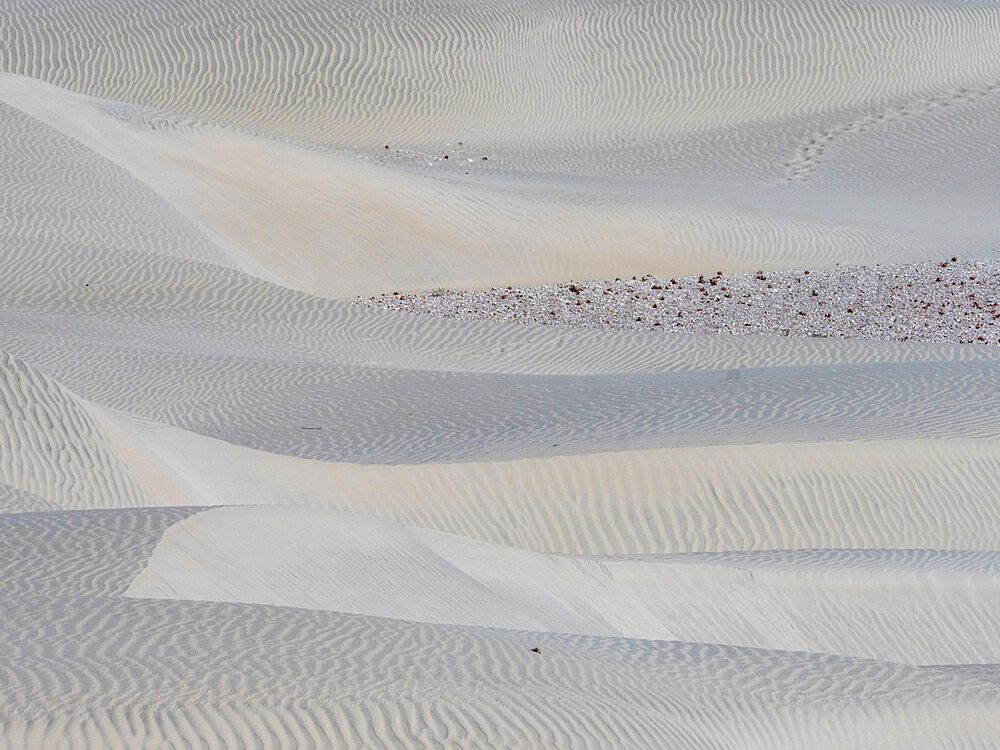 Wind swept barkhan sand dunes on the barrier island of Isla Magdalena, Baja California Sur, Mexico, North America