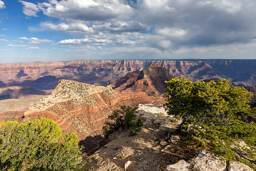 View from Cape Royal Point of the north rim of Grand Canyon National Park, UNESCO World Heritage Site, Arizona, United States of America, North America