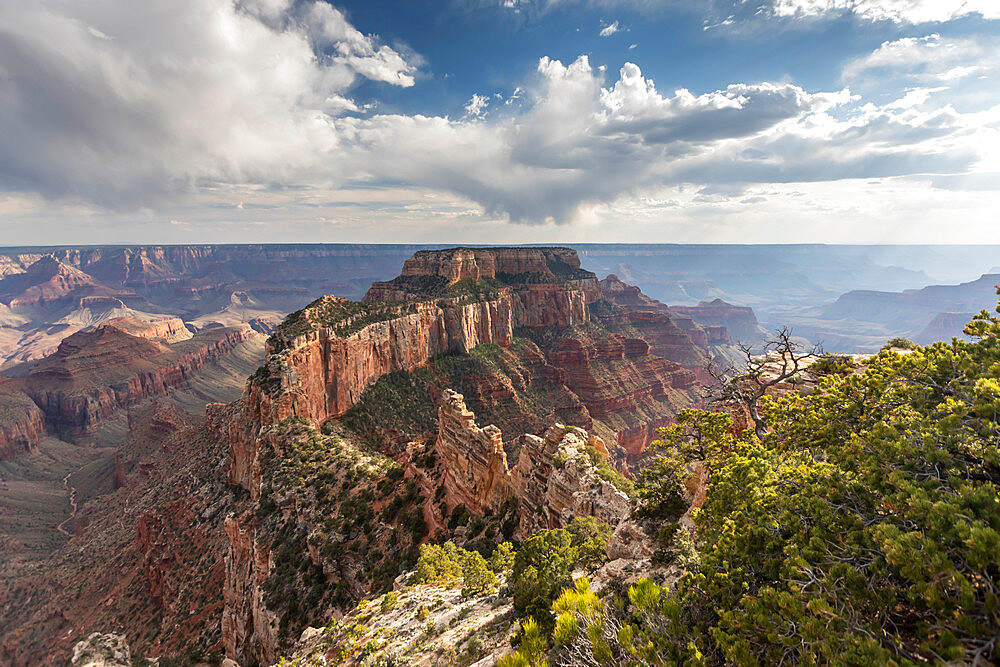 View from Cape Royal Point of the north rim of Grand Canyon National Park, UNESCO World Heritage Site, Arizona, United States of America, North America