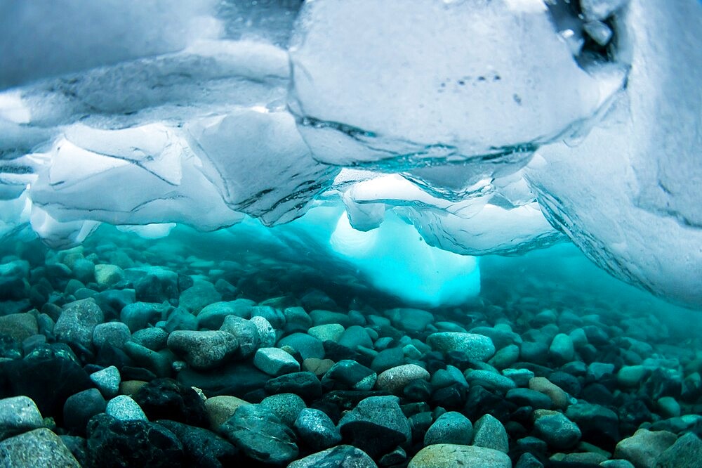 Underwater view of dense brash ice at Cuverville Island, Ererra Channel, Antarctica, Polar Regions