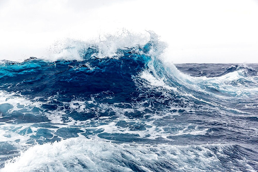 High westerly winds build large waves in the Drake Passage, Antarctica, Polar Regions