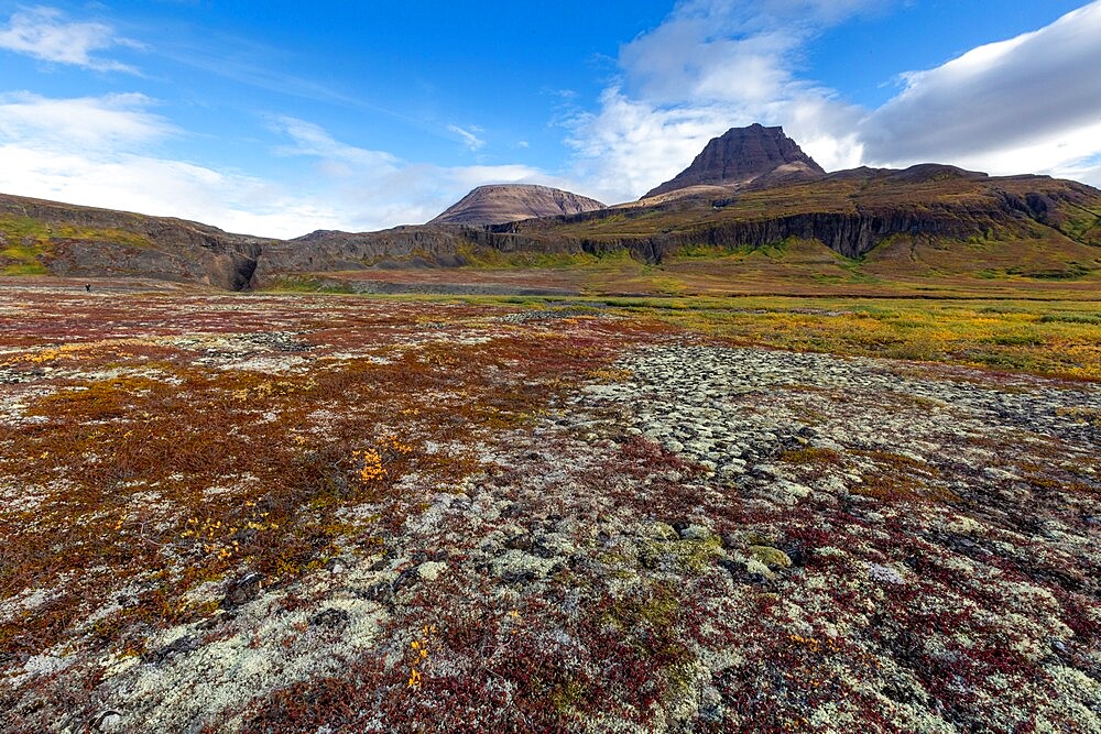 Open tundra and columnar basalt in Brededal, Disko Island, Qeqertarsuaq, Baffin Bay, Greenland, Polar Regions