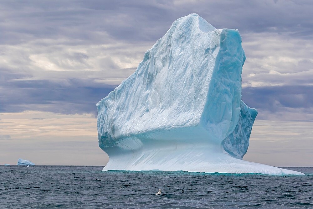 Huge icebergs at Cape Brewster, the easternmost point of the jagged and mountainous Savoia Peninsula, Greenland, Polar Regions