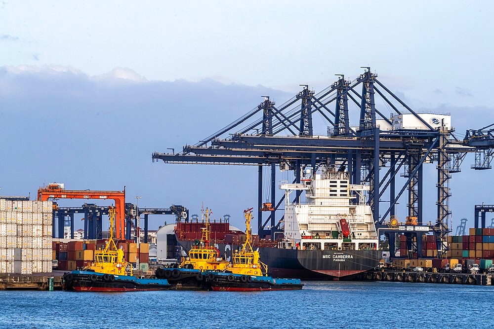 Cargo ships being loaded on Lake Gatun, near Gamboa, Panama Canal, Panama, Central America