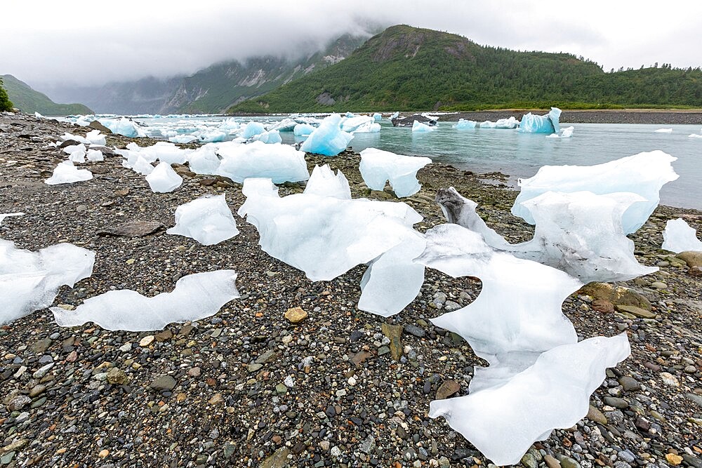 Glacial ice stranded on the beach at low tide in the East arm of Glacier Bay National Park, UNESCO World Heritage Site, Southeast Alaska, United States of America, North America