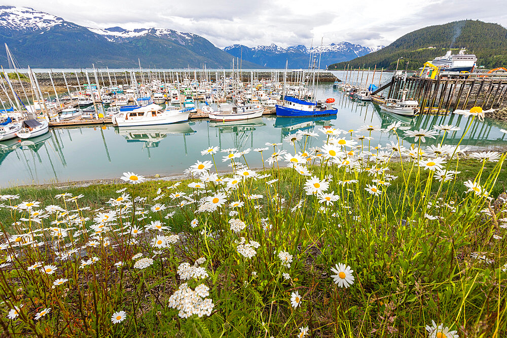 View of the harbor in Haines, Southeast Alaska, United States of America, North America