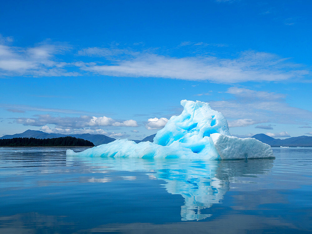 Ice calved from the Leconte Glacier but stranded on a terminal moraine, Petersburg, Southeast Alaska, United States of America, North America