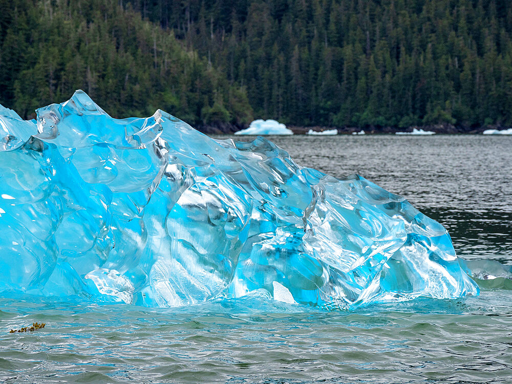 Detail of ice calved from the Leconte Glacier but stranded on a terminal moraine, Petersburg, Southeast Alaska, United States of America, North America