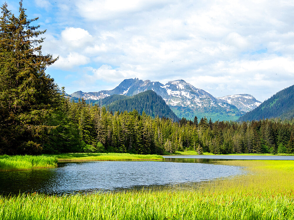 View of the lake above Pavlof Harbor, Southeast Alaska, United States of America, North America