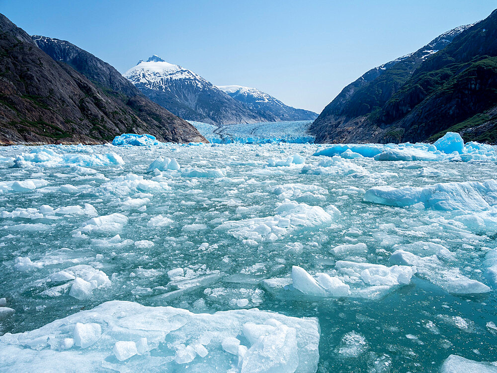 Ice calved off the South Sawyer Glacier, Tracy Arm, Southeast Alaska, United States of America, North America