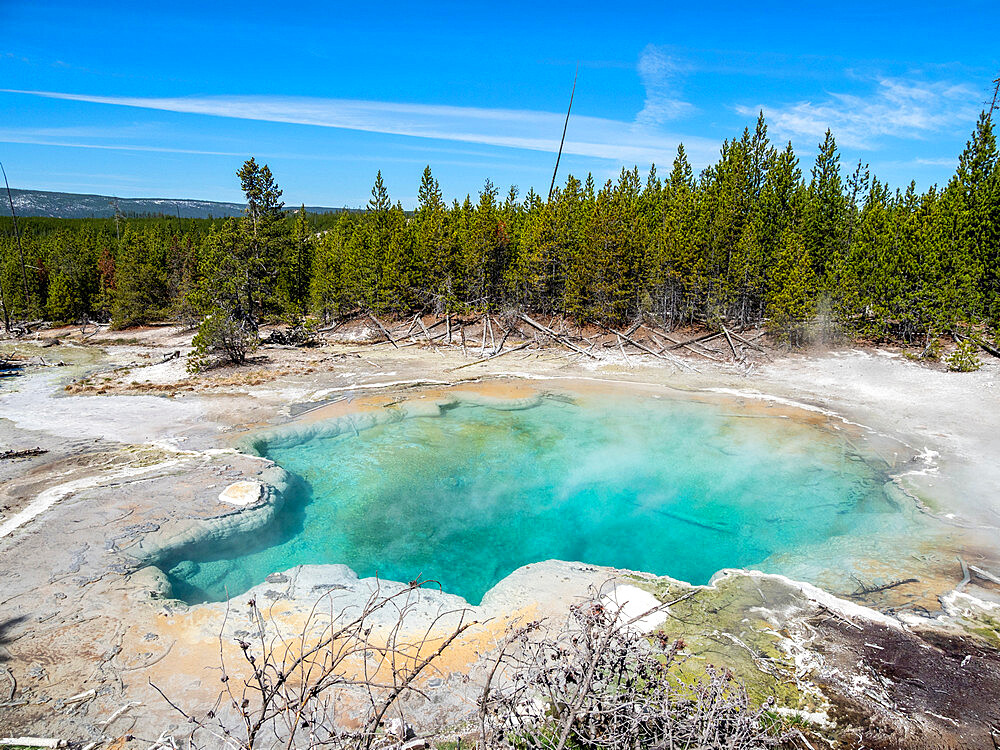 Emerald Spring in the Norris Geyser Basin, Yellowstone National Park, UNESCO World Heritage Site, Wyoming, United States of America, North America