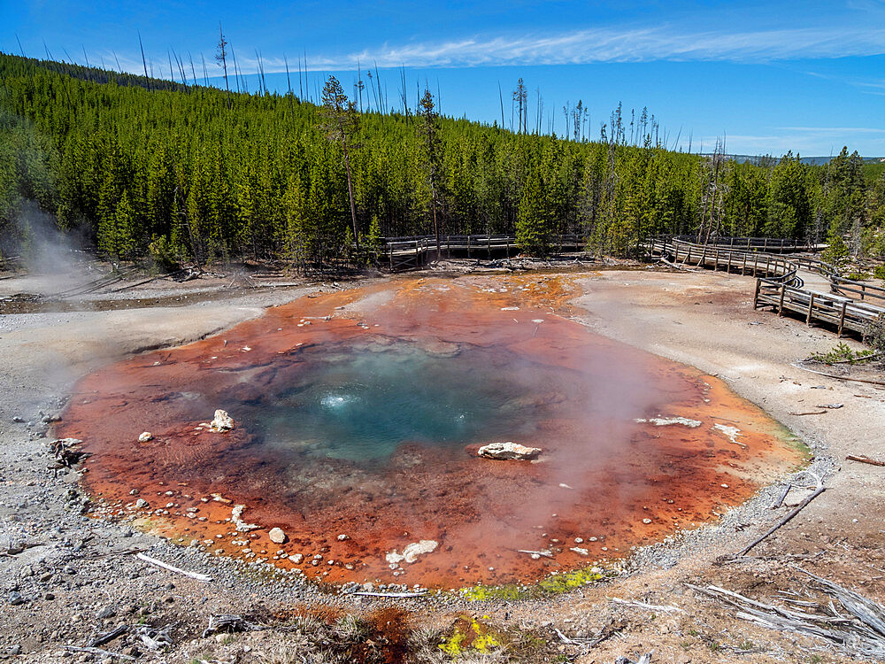 Echinus Spring in the Norris Geyser Basin, Yellowstone National Park, UNESCO World Heritage Site, Wyoming, United States of America, North America