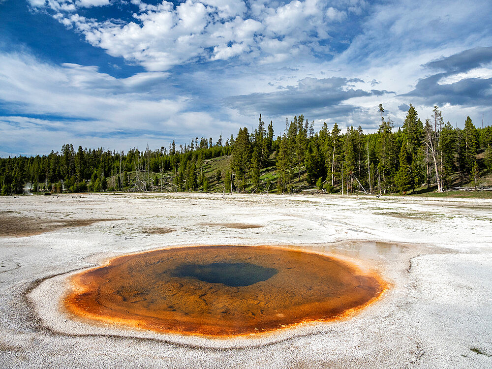 Chromatic Pool, in the Norris Geyser Basin area, Yellowstone National Park, UNESCO World Heritage Site, Wyoming, United States of America, North America