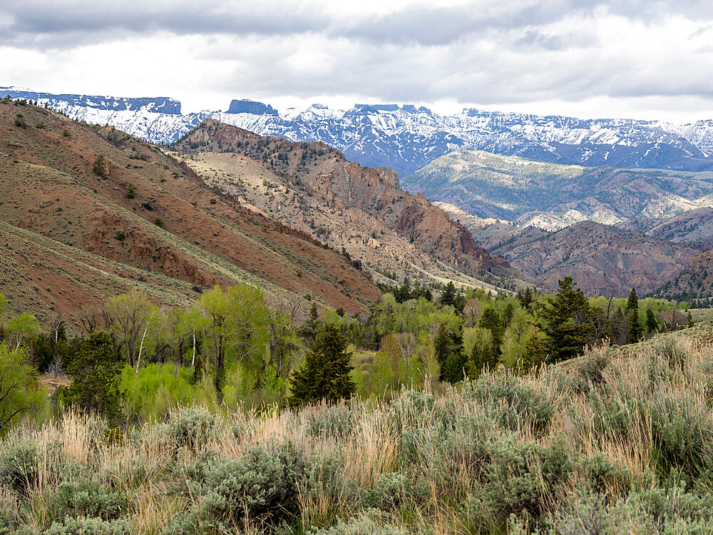 The Washakie Wilderness area within Shoshone National Forest, Wyoming, United States of America, North America