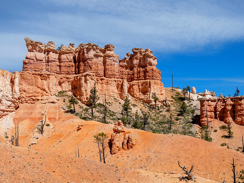 A view of the hoodoos from the Fairyland Trail in Bryce Canyon National Park, Utah, United States of America, North America