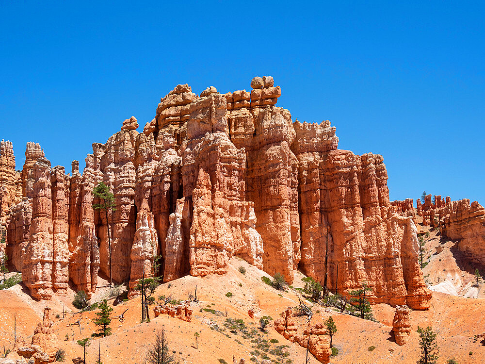 A view of the hoodoos from the Fairyland Trail in Bryce Canyon National Park, Utah, United States of America, North America