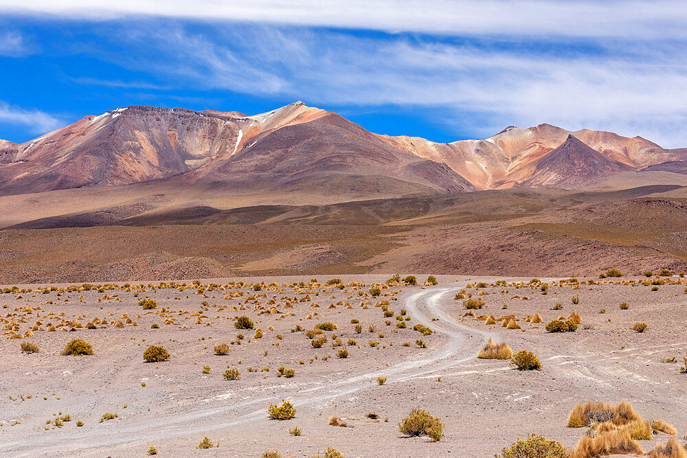 View of the altiplano near Canapa Lake (Laguna Canapa), Potosi Department, southwestern Bolivia, South America