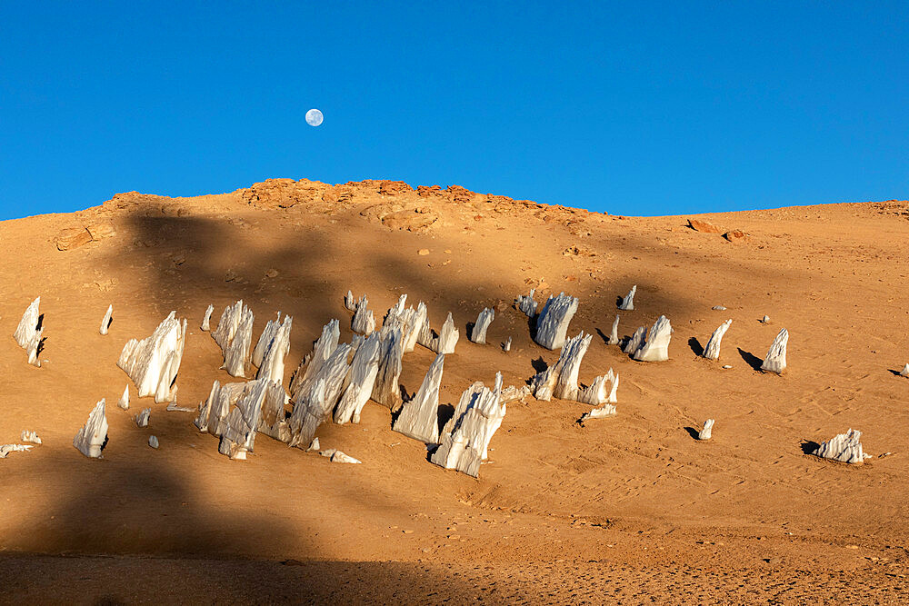 Ice under a full moon in the Eduardo Avaroa Andean Fauna National Reserve, Potosi Department, Bolivia, South America