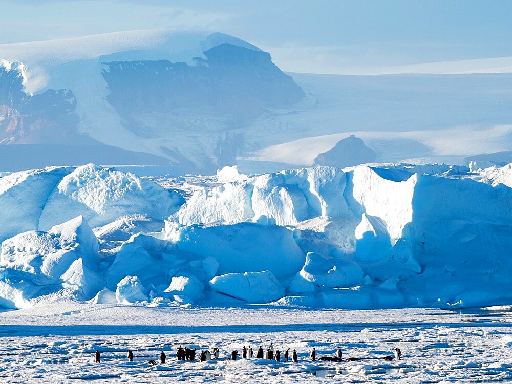 A group of emperor penguins (Aptenodytes forsteri), on the ice near Snow Hill Island, Weddell Sea, Antarctica, Polar Regions