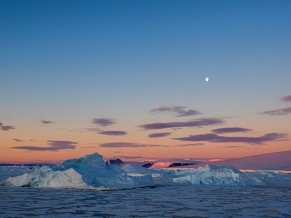 A group of emperor penguins (Aptenodytes forsteri), on the ice near Snow Hill Island, Weddell Sea, Antarctica, Polar Regions