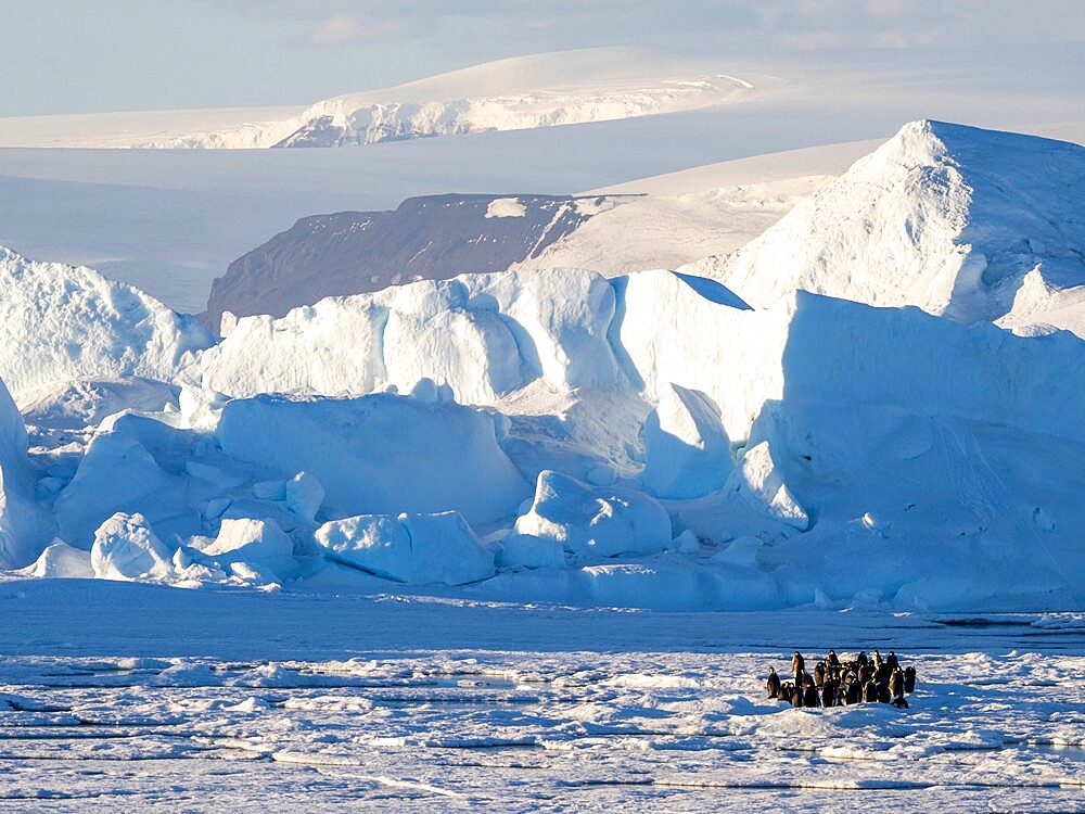 A group of emperor penguins (Aptenodytes forsteri), on the ice near Snow Hill Island, Weddell Sea, Antarctica, Polar Regions