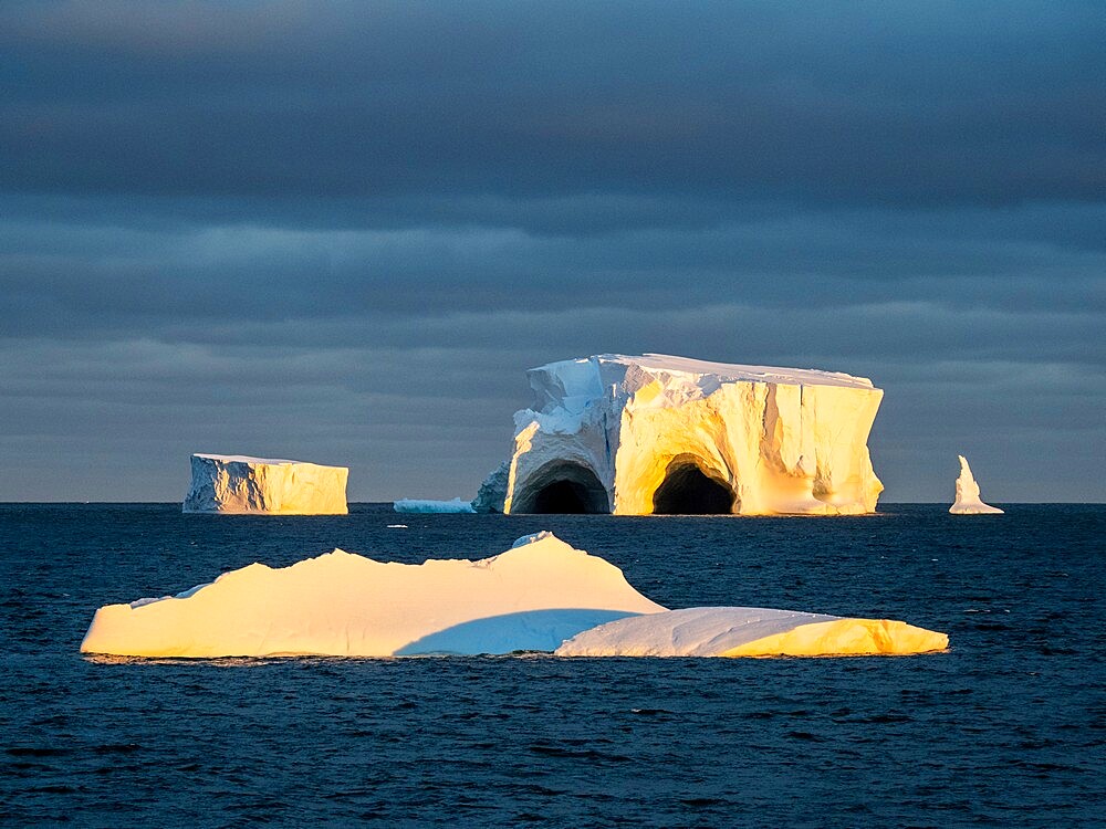 Large icebergs floating in the Bellingshausen Sea, Antarctica, Polar Regions