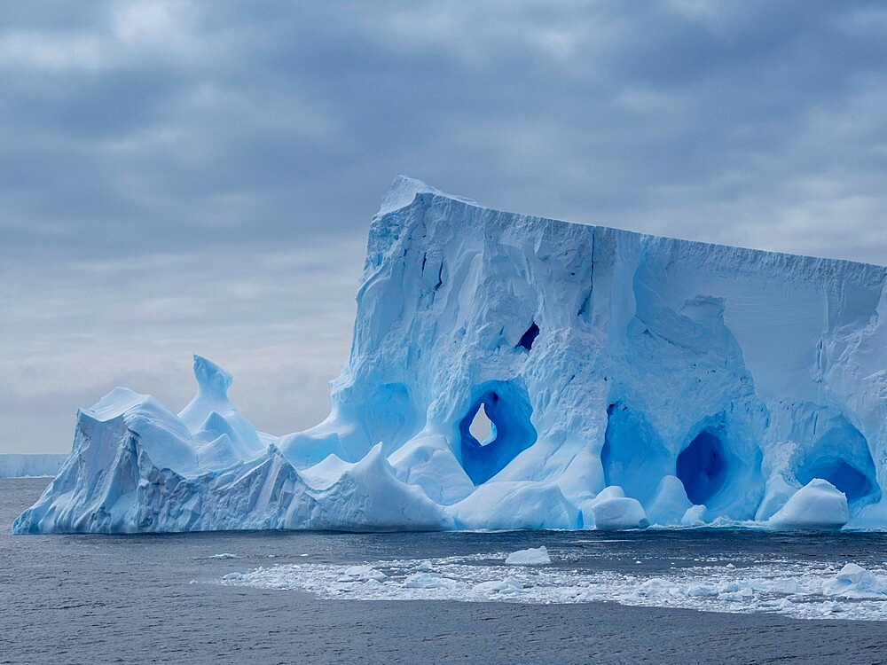 A large iceberg with holes and arches formed in it near Coronation Island, South Orkneys, Antarctica, Polar Regions