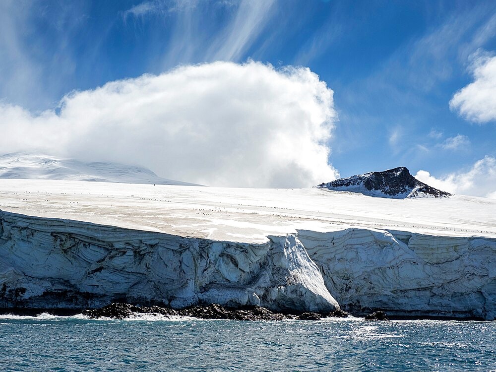 Penguins walk across the glacier on Thule Island, a volcanic island in the South Sandwich Islands, South Atlantic, Polar Regions