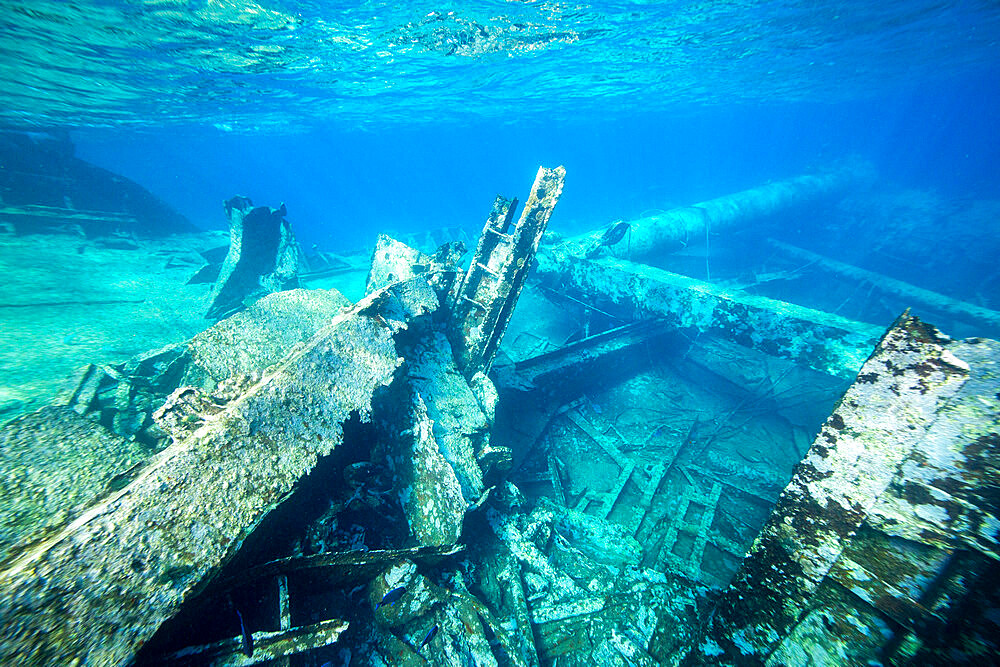 Remains of the Kinsei Maru shipwreck on the northeast side of the Silver Bank, Dominican Republic, Greater Antilles, Caribbean, Central America