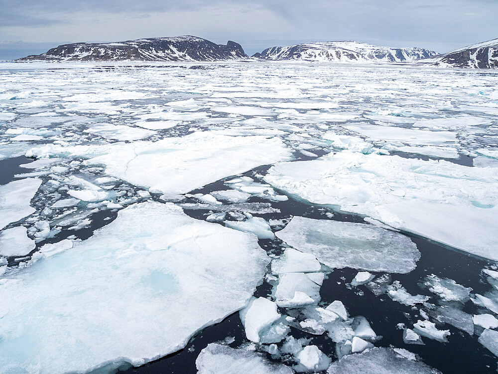 First year sea ice on the North West side of Spitsbergen, Svalbard, Norway, Europe